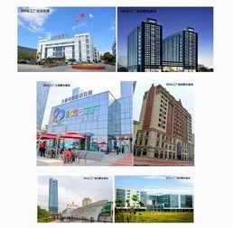 大唐网络369云工厂运营公司成立，实业运营与建设双轮驱动区域孵化基地全面升级